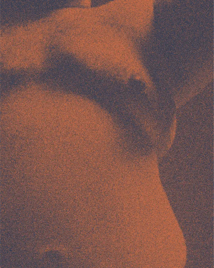 Hiroshi — poster with a fine grainy duotone texture.