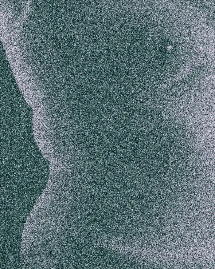 Leo — poster with a fine grainy duotone texture.