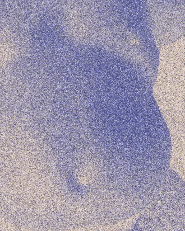 Malik — poster with a fine grainy duotone texture.