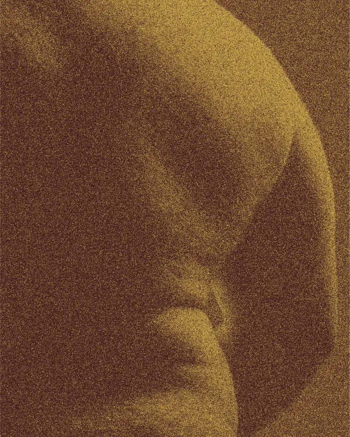 Rafael — poster with a fine grainy duotone texture.
